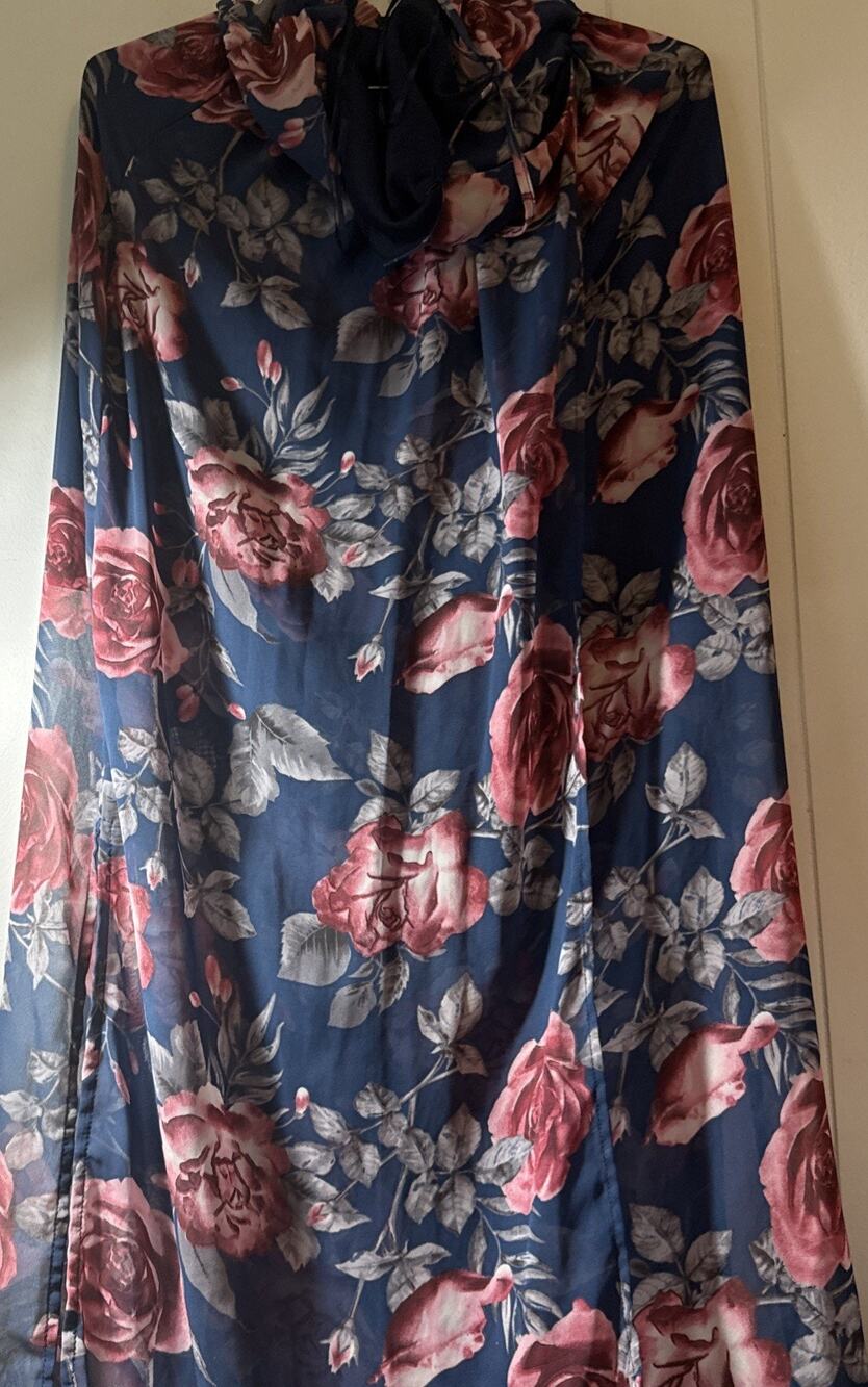 Sienna Sky Blue Floral Maxi Dress, size small ZZ
